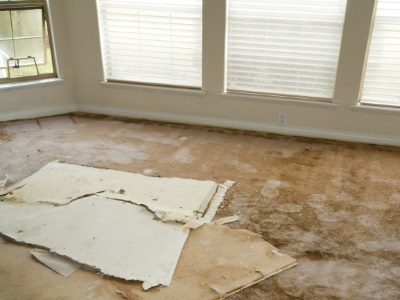 Water damage restoration in Loganville by Reliable Water Mitigation